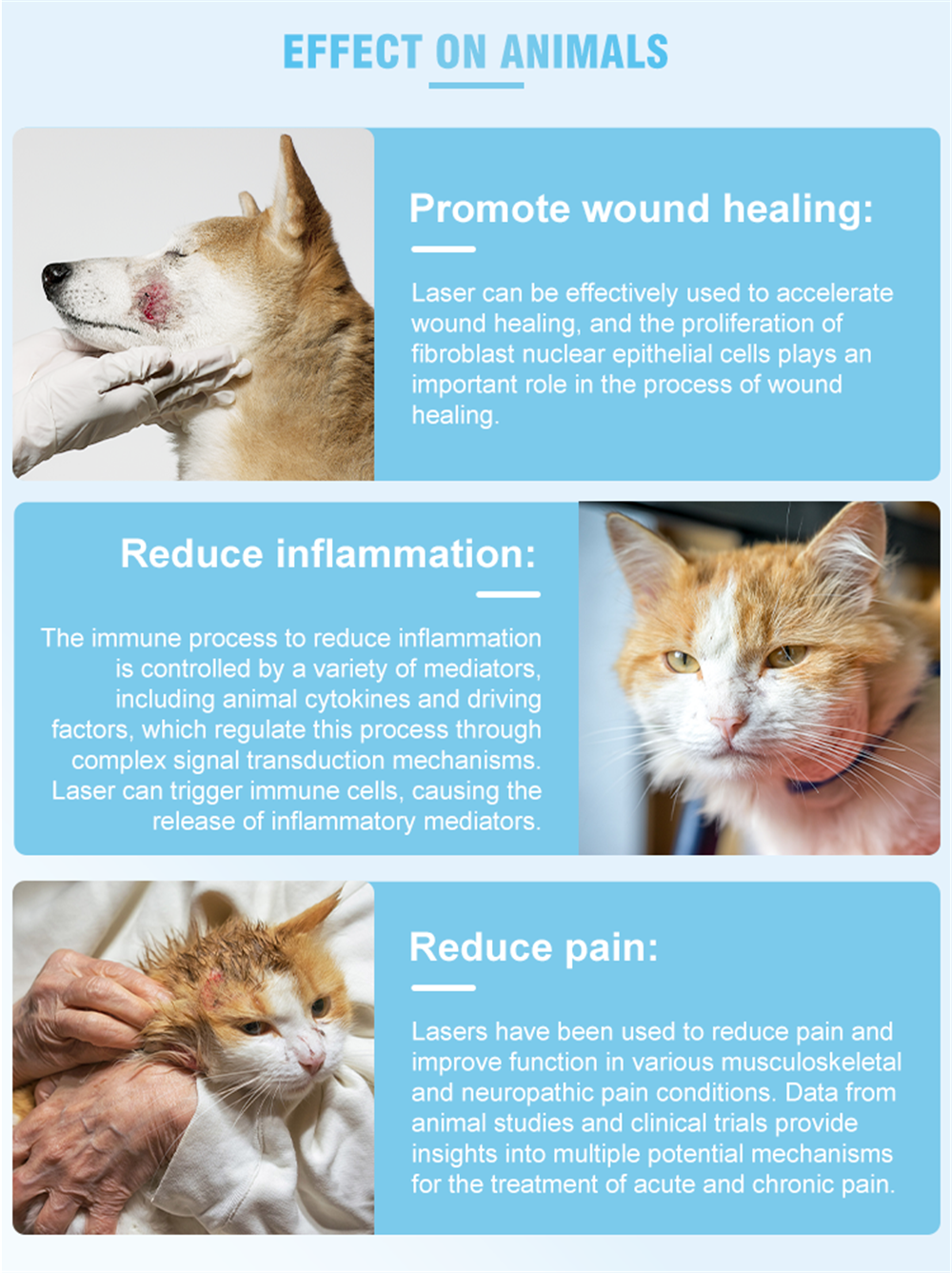 Terapia de luz para alívio da dor no laser Terapia de luz para alívio da dor no laser