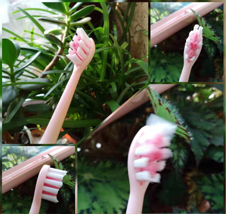 SUBORT Super Sonic Escovas de Dentes Elétricas SUBORT Super Sonic Escovas de Dentes Elétricas