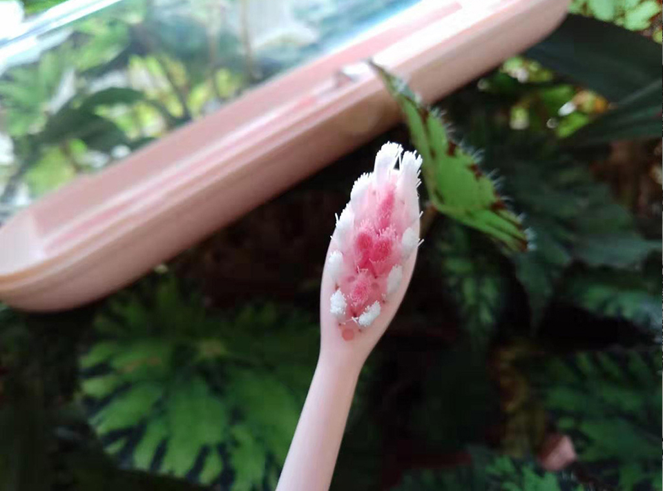 SUBORT Super Sonic Escovas de Dentes Elétricas SUBORT Super Sonic Escovas de Dentes Elétricas