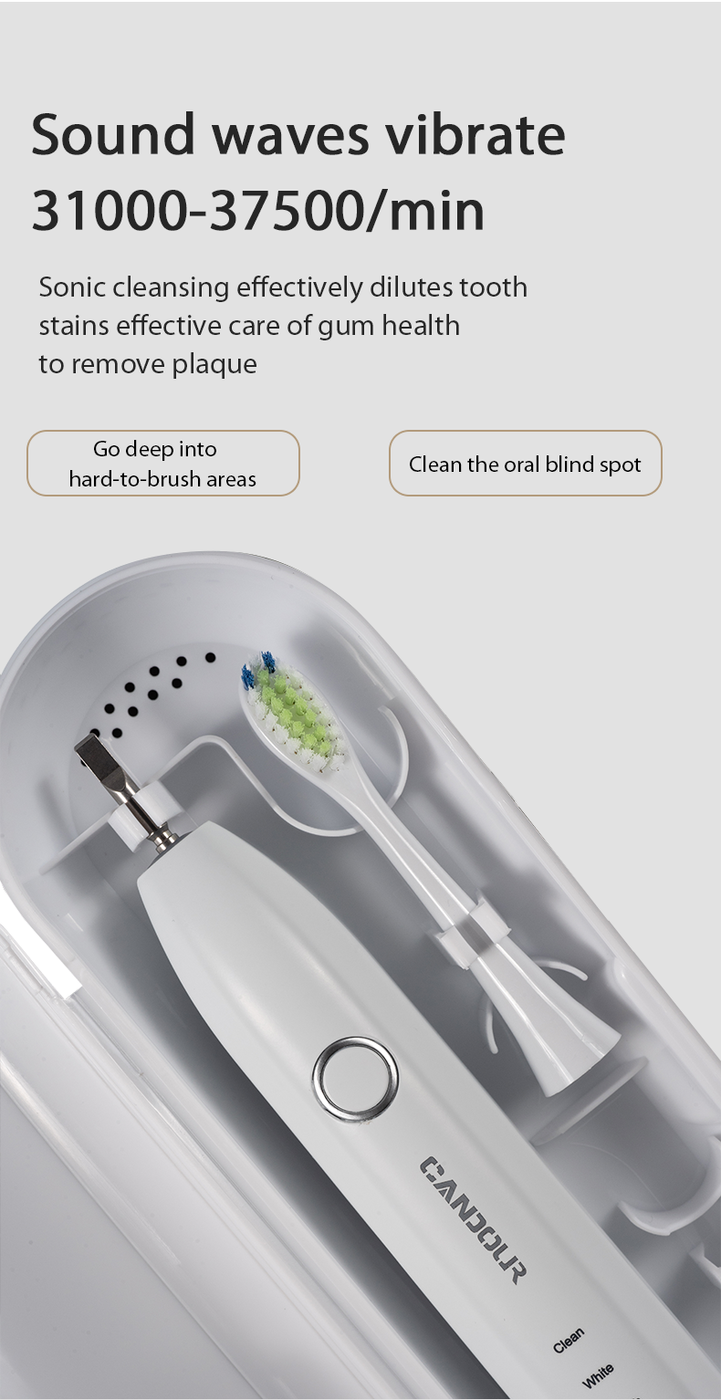 Candour cd-5168 sonic escova de dentes elétrica recarregável ipx8 à prova d15 água 15 modo usb carregador cabeças de substituição conjunto