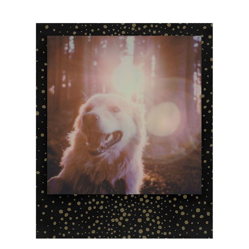 Polaroid originais filme de 600 instantâneo Polaroid originais filme de 600 instantâneo