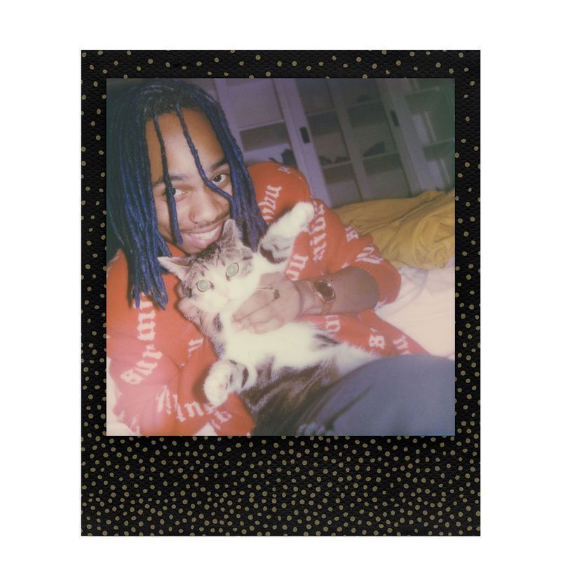 Polaroid originais filme de 600 instantâneo Polaroid originais filme de 600 instantâneo